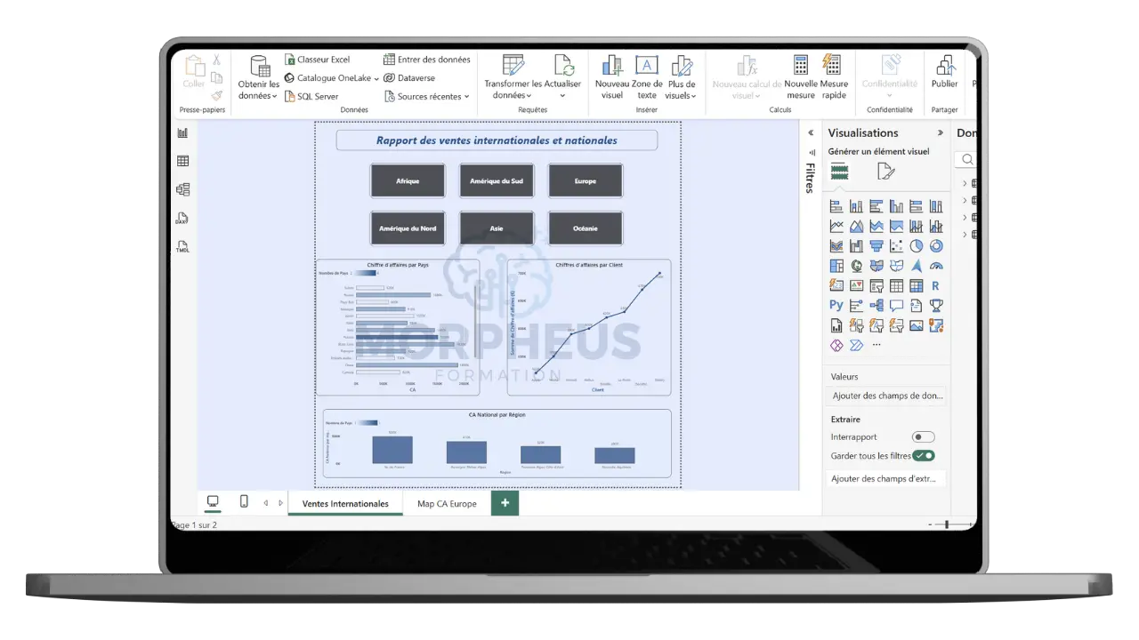 Ventes Morpheus interface et prise en main de power bi