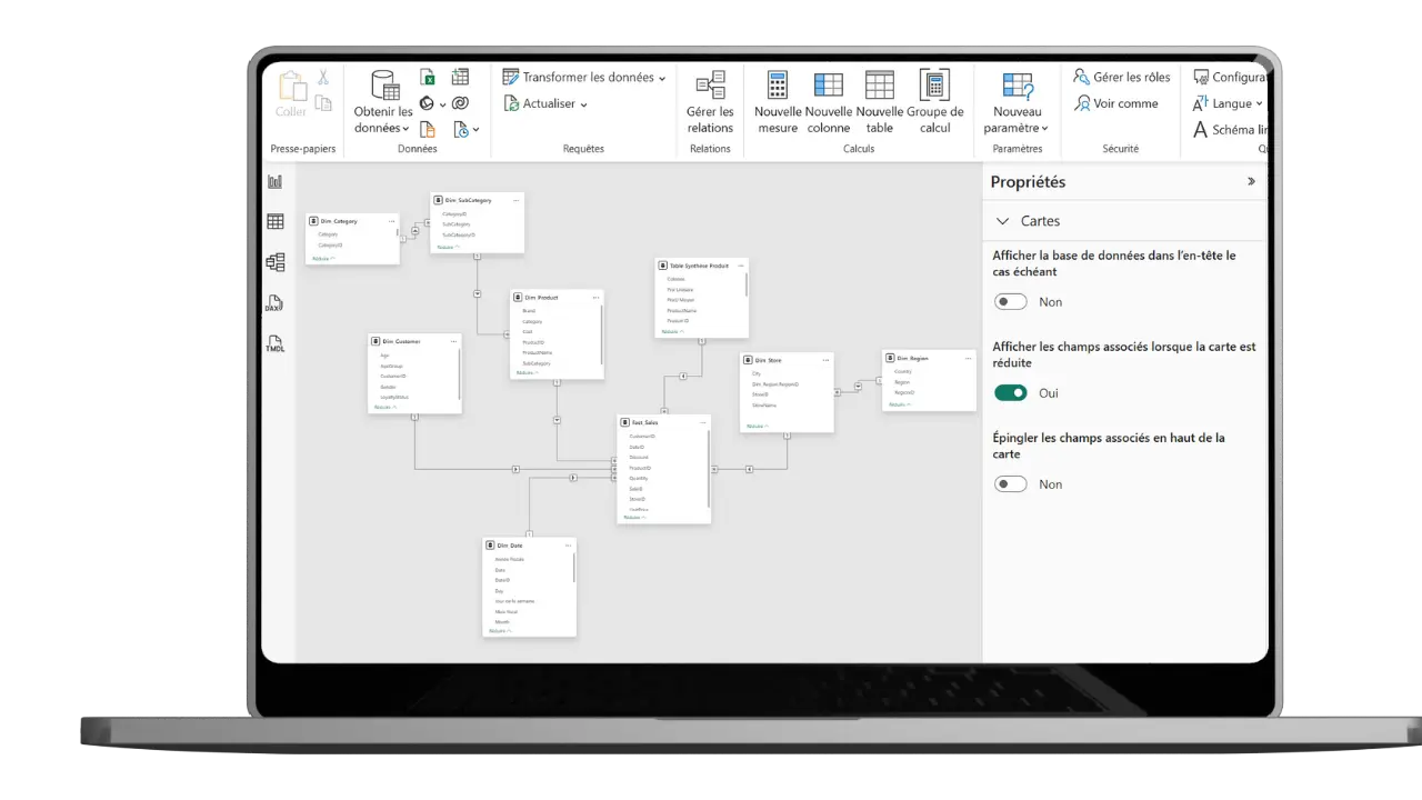 modele flocon exploiter les donnes modélisation