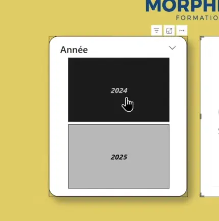 segment à insérer dans le KPI pour comparer 2024 avec 2025