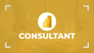 consultant power bi