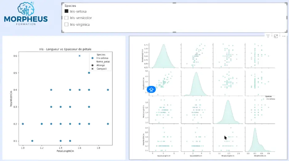 Filtrer python power bi
