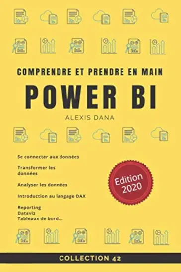 Livre Power BI comprendre et prendre en main Power BI 