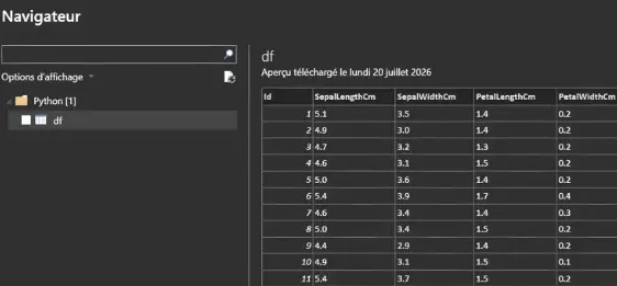 pandas python power bi